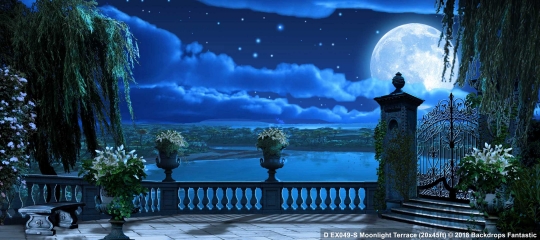 Moonlight Terrace Beauty and the Beast Backdrop Moonlight Terrace EX049-S 20x45 Beauty and the Beast Backdrop Rental