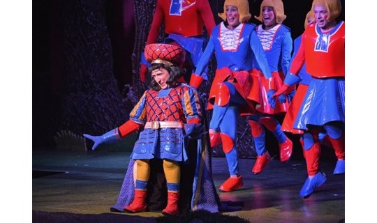 Shrek Costume Rental Farquaad and Duloc Dancers