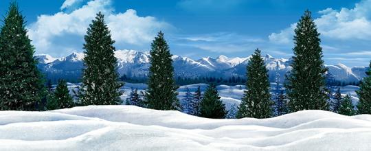 Frozen Backdrop Rental