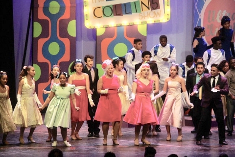 Hairspray sales dance costumes