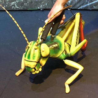 Grasshopper Puppet