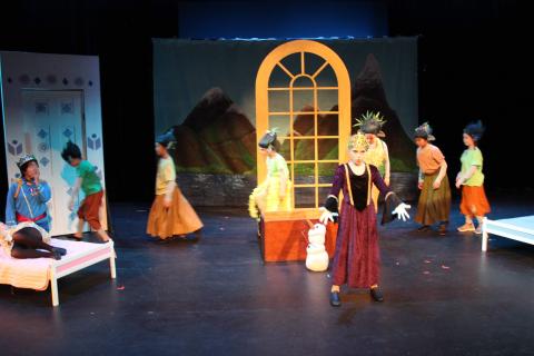 Frozen Costumes & Props