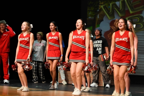 Wildcat Cheerleading Uniform