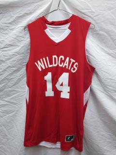 High School Musical Costumes