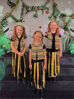 Bees Jungle Book KIDS costume rental