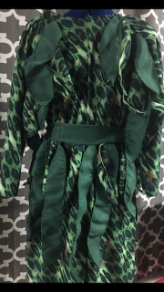 Frozen costume rental