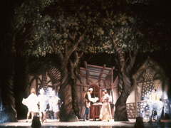 INTO THE WOODS