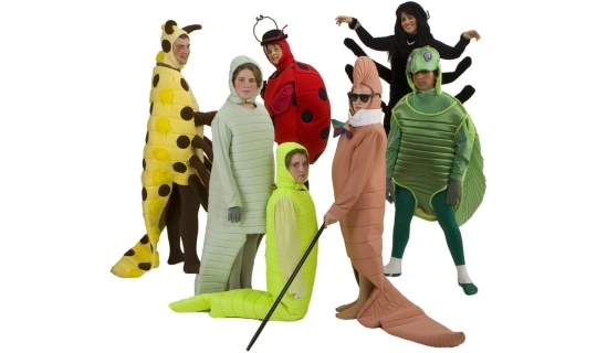 Rental Costumes for James and the Giant Peach - Mr. Centipede, Silkworm, Glowworm, Mrs. Ladybug, Earthworm, Miss Spider, Mr. Grasshopper