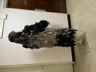 TARZAN costumes