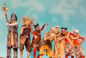 Lion King JR Costume Rentals