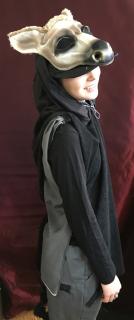 Lion King Costume Rentals