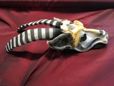 Lion King Costume Rentals