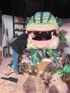 LITTLE SHOP OF HORRORS PUPPETS