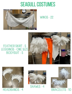 Seagull Costumes