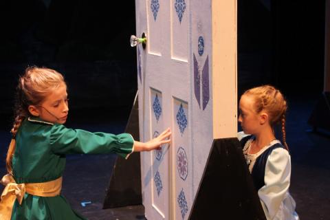 Frozen Costumes & Props