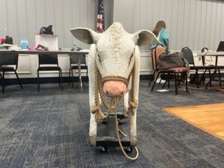 INTO the WOODS MILKY WHITE COW INTO the WOODS Milky White Cow
