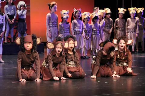 Lion King Kids Costumes and Headpieces