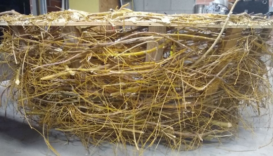 A semi sphere that is six feet in diameter and made from woven willow branches