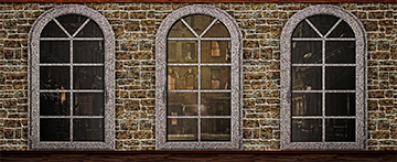 Newsies Theatrical Drop Rental