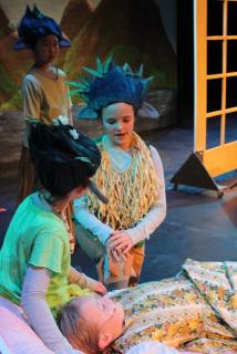 Frozen Costumes & Props