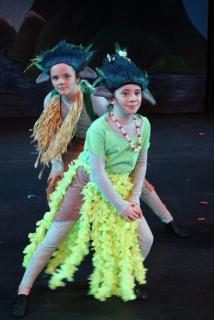 Frozen Costumes & Props