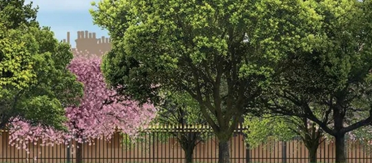Park Mary Poppins Backdrop