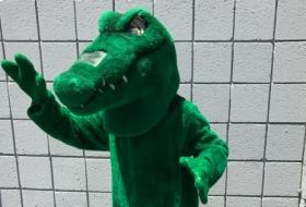 Peter Pan Costume Rentals