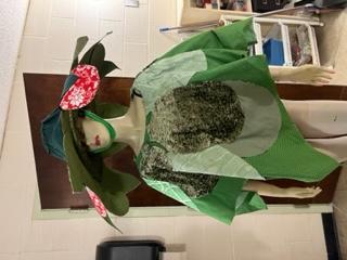 TARZAN costumes