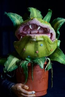 Audrey 2 pod by Melissa Patrello for StageWorthy Arts Audrey 2 Rentals