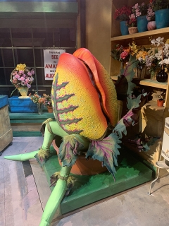 Audrey II Pod 3