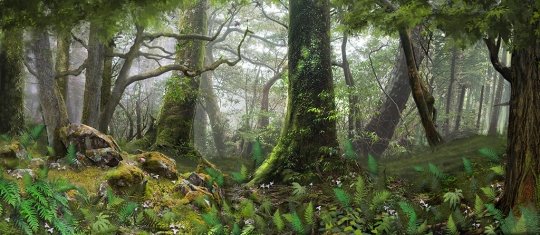 Forest Panel 2 Backdrop used in the production of Lion King, Shrek, and Into the Woods