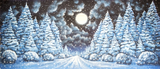 This chilly Night Snow Landscape backdrop is perfect for The Nutcracker play