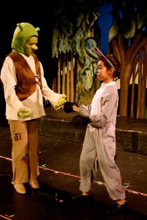 Shrek Jr Costumes