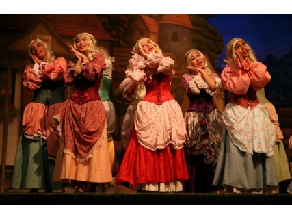 Beauty and the Beast Costume Rental - Silly Girls