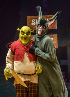 Shrek the Musical - Donkey & Shrek Costumes Shrek the Musical - Donkey & Shrek Costumes