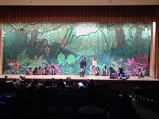 TARZAN costumes