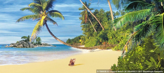 Tropical Beach 3E The Little Mermaid Backdrop Tropical Beach 3E TB003E 20x45 The Little Mermaid Backdrop Rental