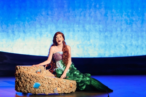 Ariel The Little Mermaid Ariel The Little Mermaid