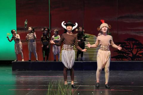 Lion King Kids Costumes and Headpieces