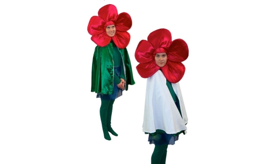 Rental Costumes for The Wizard of Oz - Poppy with reversible cape to transition to snow covered poppy