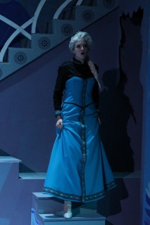 Professional elsa best sale costume