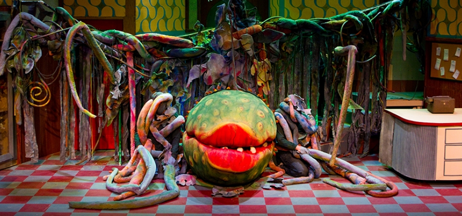 audrey ii pop