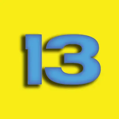 13 logo