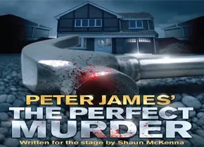 Perfect Murder Logo 