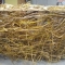 A semi sphere that is six feet in diameter and made from woven willow branches