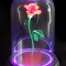Enchanted Rose