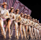 A CHORUS LINE COMPLETE COSTUME RENTAL PACKAGE AVAILABLE 