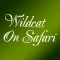 Wildcat On Safari