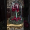 Enchanted Rose Prop Beauty And The Beast
