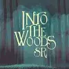 Into the Woods JR.